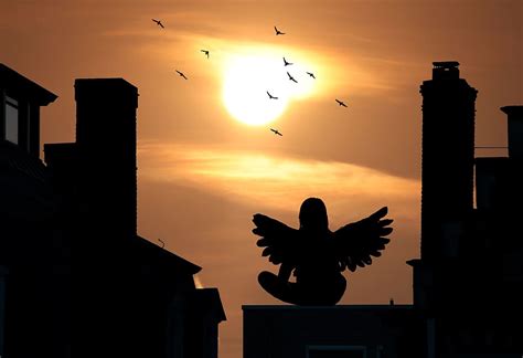 Free Download Sunset Houses Silhouette Angel Mood Birds Sun