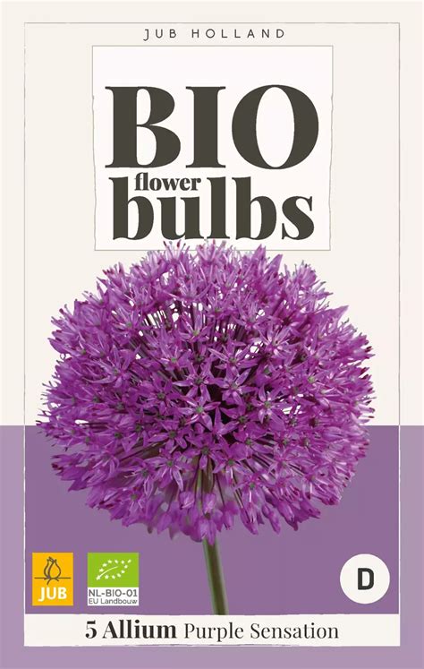Allium Purple Sensation Bio Tuincentrum Van Ee Groot Assortiment