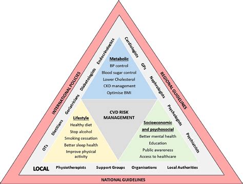 Cardiovascular Disease Prevention Risk Factor Modification At The