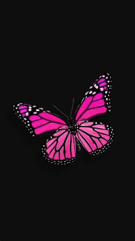 Cute Pink Butterfly Wallpaper Hd Before Background Wall