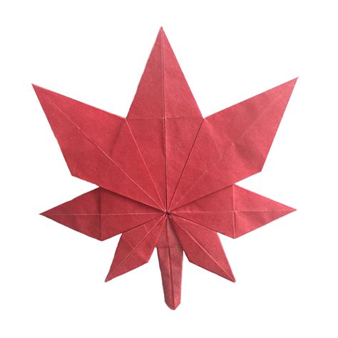 Fold An Origami Maple Leaf For Canadas Birthday Origami Expressions