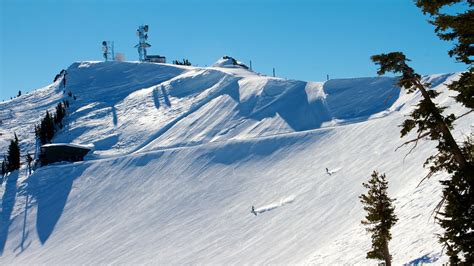 Alpine Meadows Ski Resort In Lake Tahoe California Expedia