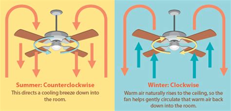 Running the blades in that direction ensures that the air blows straight down. Which Way To Circulate Ceiling Fan In Summer | Ceiling Fan