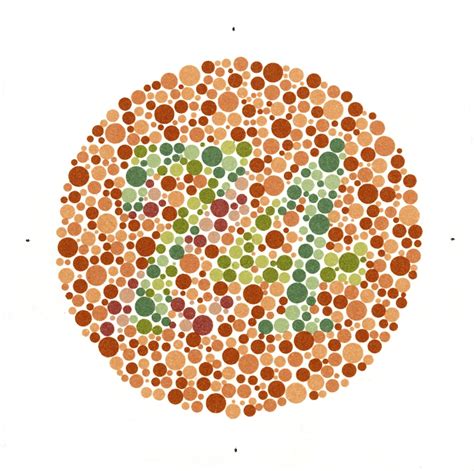 Posterazzi Ishihara Color Blindness Test Poster Print By