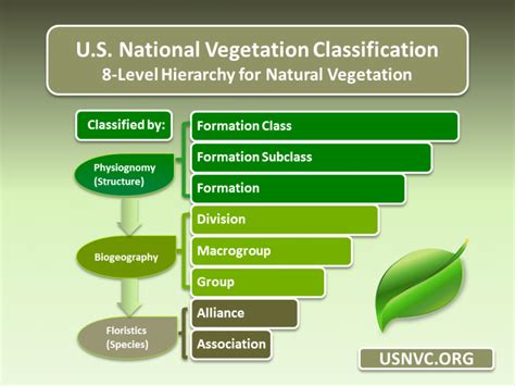 Adaptable Ecology Based Us National Vegetation Classification Debuts Today
