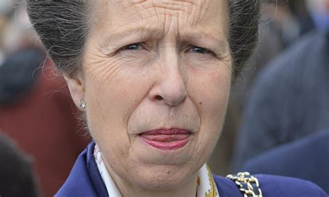 Badgers should be gassed, says Princess Anne | Environment | The Guardian