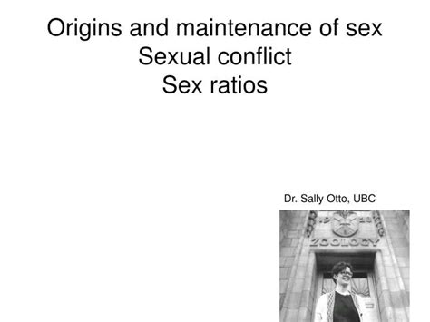 Ppt Origins And Maintenance Of Sex Sexual Conflict Sex Ratios Powerpoint Presentation Id5890283