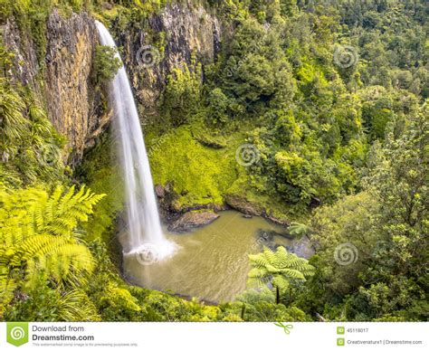 A new concept of programming.1 the cast of celebrities travel to primitive. Jungle Waterfall In Lush Rain Forest, New Zealand Stock ...