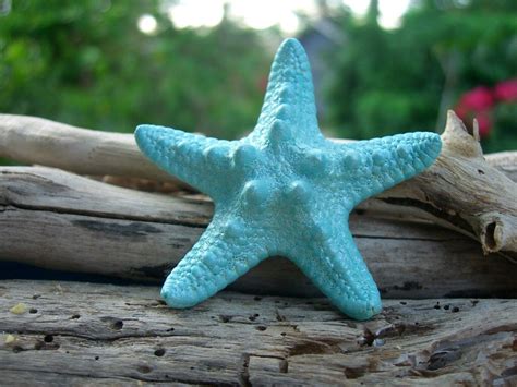 Aqua Blue Mermaid Starfish Hair Clipbeach Hair Clipmermaid Etsy