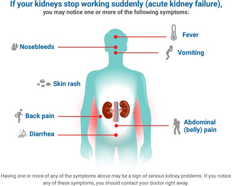Damaged Kidneys Symptoms
