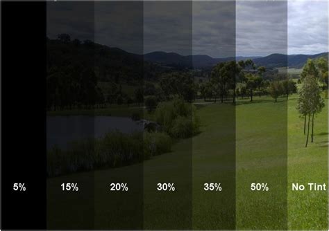 Different Types Of Window Tint Shades - Your Guide to Different Tint Shades