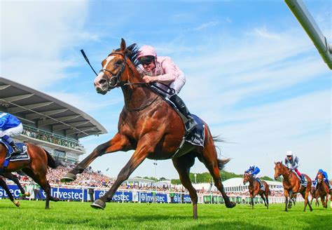 Epsom 2020 derby de sürpriz bir isimde ikincilik elde eden khalifa sat oldu. Anthony Van Dyck Becomes A Fourth Epsom Derby Winner By ...