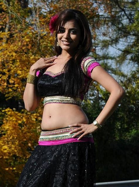 Nisha Agarwal Hot In Saree Blouse Stills ~ Hot Actress Picx