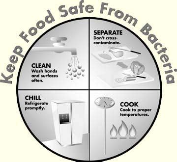 Keys To Safer Food Gmp Gallery International Food Safety And Quality Network