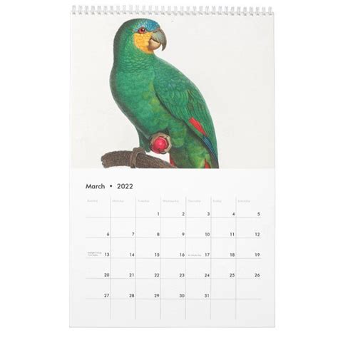 A Calendar With An Image Of A Green Parrot