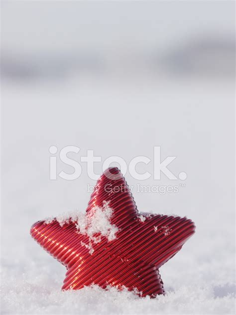Christmas Star Snow Stock Photo Royalty Free Freeimages