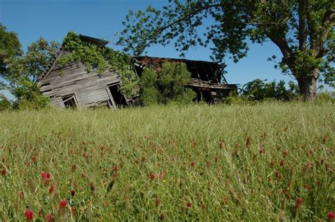 Farmhouse Ruins Ben Hill County Vanishing Georgia Photographs By