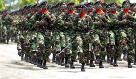 Tentara: Fungsi dan Peran dalam Menjaga Keamanan Negara
