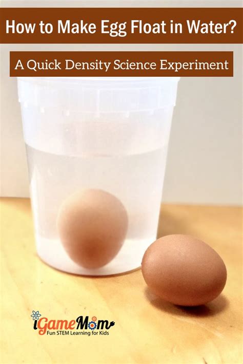 Egg In Salt Water Science Experiment