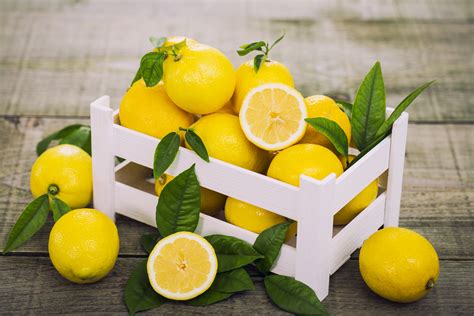 Prosegue mariana palella anche quest'anno ci ritroviamo a rinnovare il nostro entusiasmo nel sostenere l'iniziativa i limoni per la ricerca, diventato ormai uno speciale appuntamento fisso nel nostro calendario e che ci appassiona ogni volta in misura sempre maggiore. Citrus, i limoni per la solidarietà - Health Online