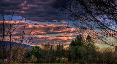 Wallpaper Sunlight Trees Landscape Forest Sunset Nature