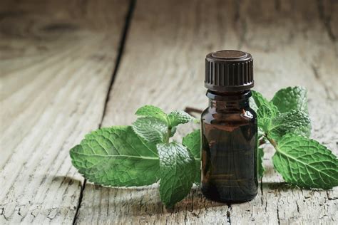 6 Fun And Easy Diy Essential Oil Recipes For Moms