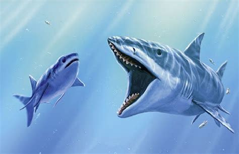 Prehistoric Sharks