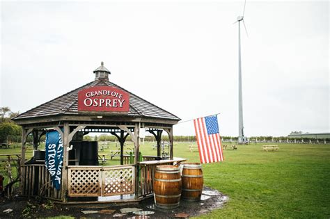 Ospreys Dominion Vineyards Long Island Wine Country