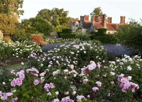 Beautiful Rose Gardens To Visit In July The English Garden