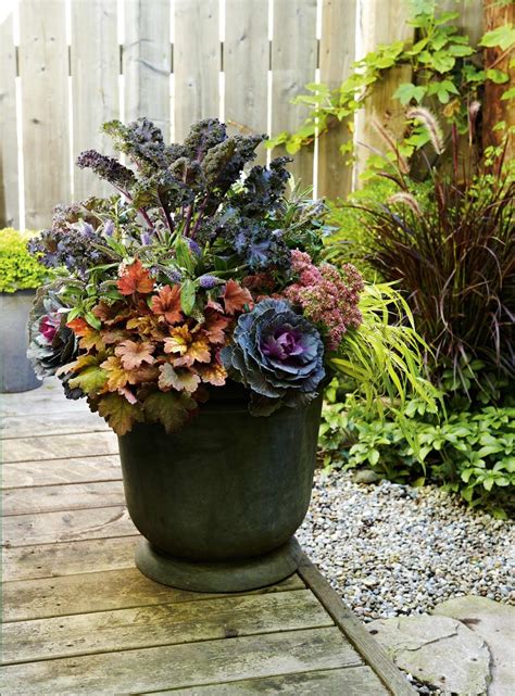 Fall Gardening Ornamental Kale And Cabbage Planter Canadian Living