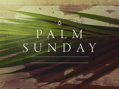 Palm Sunday Church Of The Good Shepherd