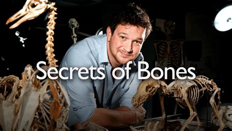 Curiositystream Secrets Of Bones