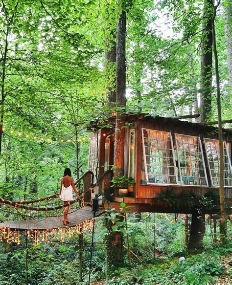 Endless Beautiful Photos Of This Enchanting Place Cool Tree Houses