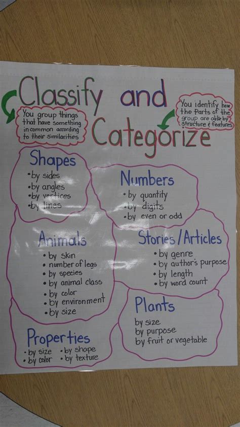 Classify And Categorize Anchor Chartused To Help My First Graders