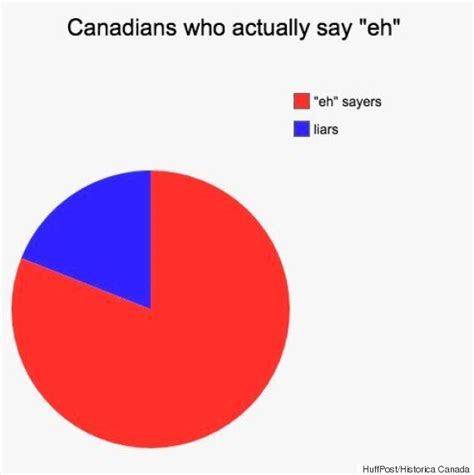 Classic Canadian Stereotypes Explained With Cheeky Pie Charts