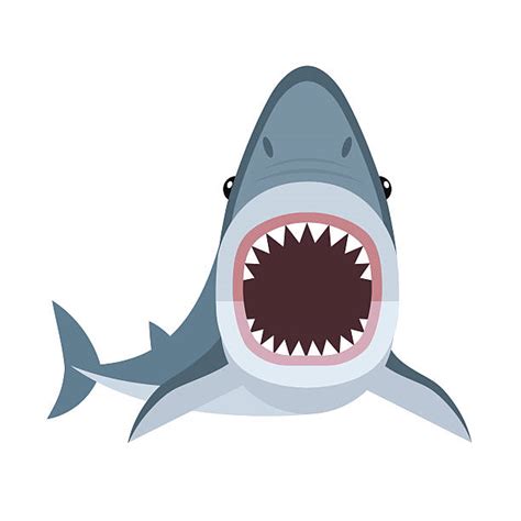 Free Free Shark Mouth Open Svg 63 SVG PNG EPS DXF File