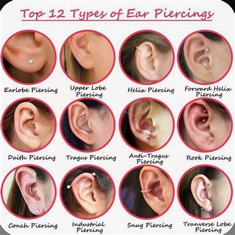 Emma Bevan On Instagram “top 12 Types Of Ear Piercings Brecon