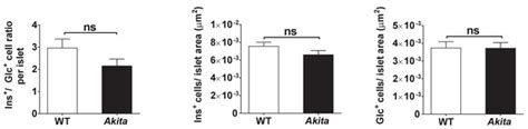 Figures And Data In Inhibition Of Mtorc1 By Er Stress Impairs Neonatal
