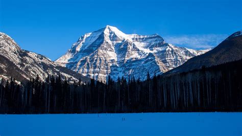 Mount Robson Backiee