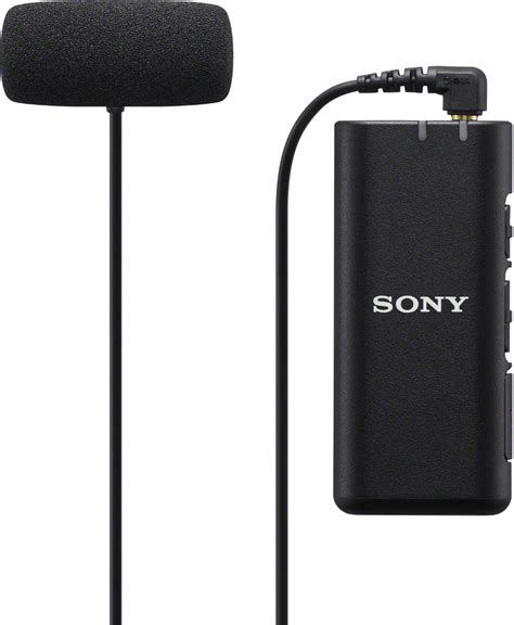 Sony Ecm W2bt Digital Bluetooth Wireless Microphone System Ubicaciondepersonascdmxgobmx