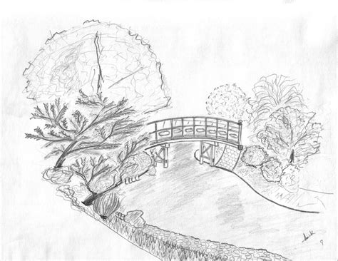 Landscape Drawings