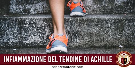 Il tendine di achille, o tendine calcaneale, origina dal muscolo tricipite della sura (formato dai muscoli gemelli e dal soleo) e si inserisce sull'osso calcaneale. Infiammazione del Tendine di Achille - Scienze Motorie