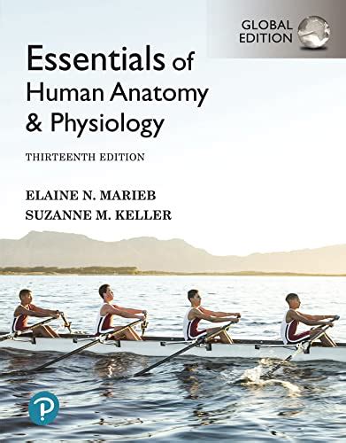 Essentials Of Human Anatomy And Physiology Textbooks Slugbooks