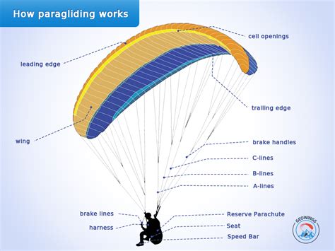 Paragliding In Pakistan Beginners Guide Everything You Need To Know