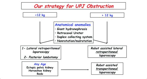 Our Strategy For Upj Obstruction Download Scientific Diagram