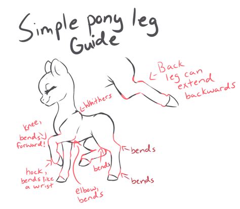 Simple Pony Leg Guide By Cabbage Arts On Deviantart Ponies Drawing