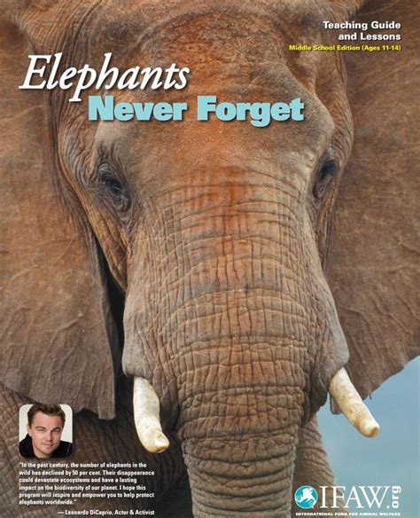 They say an elephant never forgets. 9 best Lesson Plans for Teachers images on Pinterest | Resources for teachers, Student centered ...
