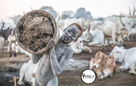 Meet The Cattle Herding Tribe Who Bathe In Cow Urine