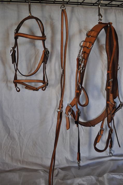 Pony Bitting Rig Herrons Tack