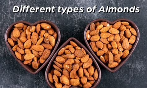 Different Types Of Almonds Soonya Blog